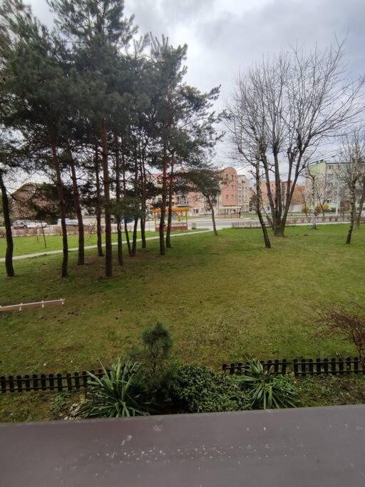 Przytulne Mieszkanko Oswiecim Dış mekan fotoğraf